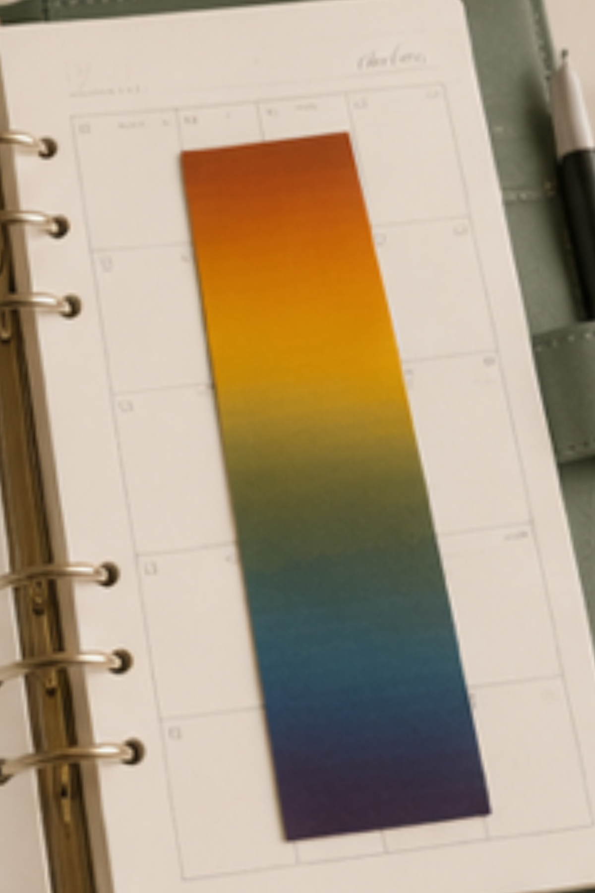 Rainbow Days